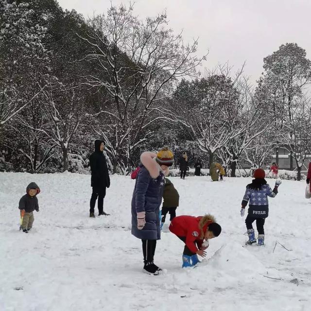 微信图片_20190103214928.jpg