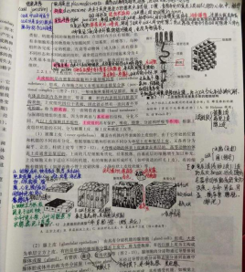 微信图片_20201101114016.png