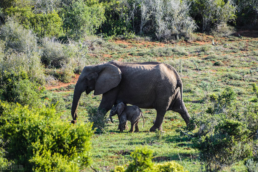 1625455327670714.jpg 1625455327670714.jpg