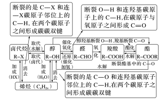 微信图片_20241112171828.png